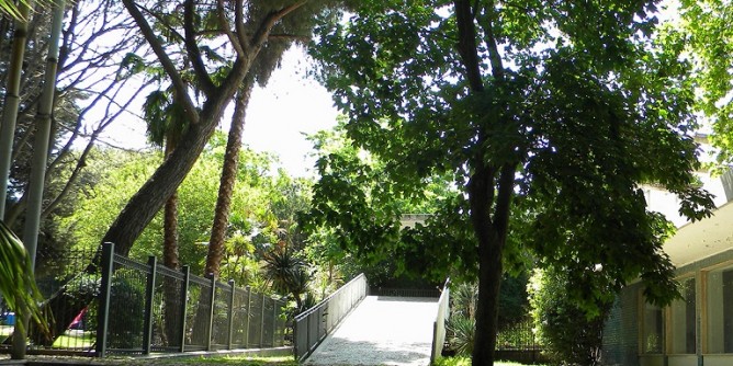 Pino da abbattere ai giardini di Sassari