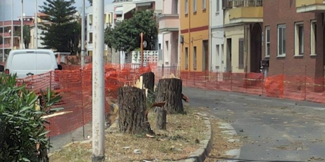 Scempio a Monserrato, 25 pini abbattuti
