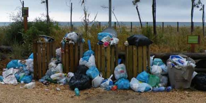 Cagliari senza <i>differenziata</i>: bando da annullare, ma Zedda reagisce