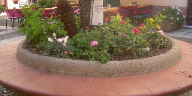 Fioriere <i>adottate</i> in Piazza Municipio| Foto