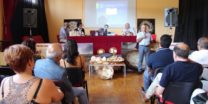 «Così sconfiggiamo il punteruolo del pane»