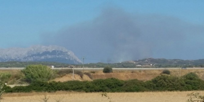 Rogo in Gallura, case evacuate. Oltre 600 ettari andati in fumo
