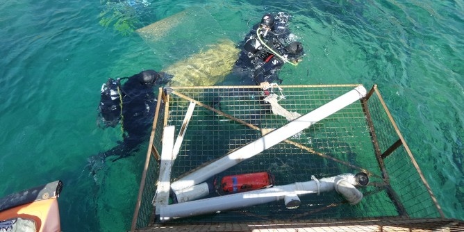 Asinara: pulizia dei fondali nell’Area Marina