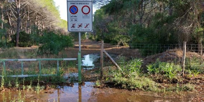 Perdite pista Arenosu: <i>dossier</i> Wwf ad Abbanoa