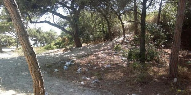 Multe e vigili in pineta Maria Pia: rimosse tre tende