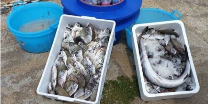 Asinara: due persone denunciate, sequestrati unità e pescato