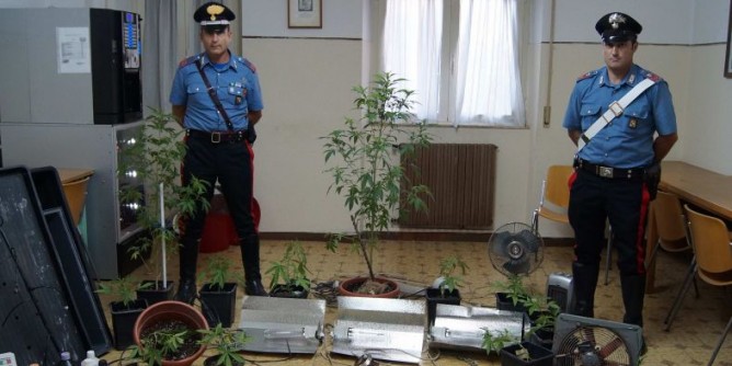 Armi e cannabis nella mansarda. Arrestato un 43enne a Tempio 
