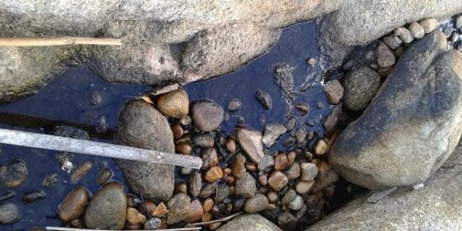 Sos ambientalisti: mare <i>sospetto</i> a Santa Teresa