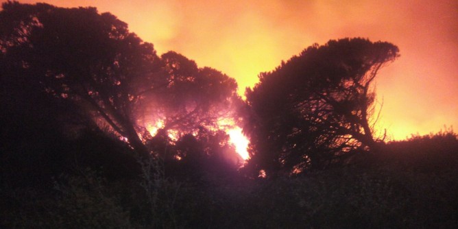 Incendi, prescrizioni da giugno