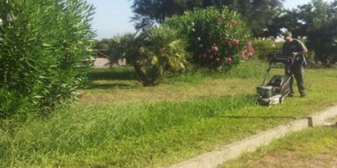 Porto Torres, Forestazione: spazio a 13 disoccupati