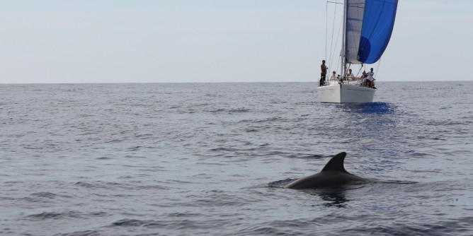 Vela: Vento de l´Alguer torna in porto