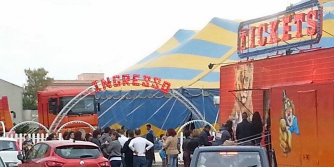 Circo a Porto Torres: regolamento sui diritti degli animali