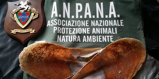 Nacchere al mercatino dell´usato di Sassari