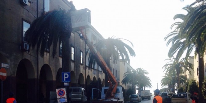 Via le palme, foto-ricordo a Fertilia