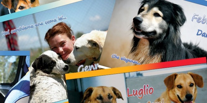 Il <i>Canendario</i> Zampesarde 2016  pronto