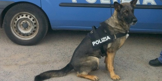 Polizia: servizio antidroga a Sassari