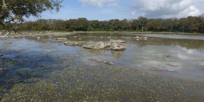 Cittadini nella ricerca: progetti in Ateneo