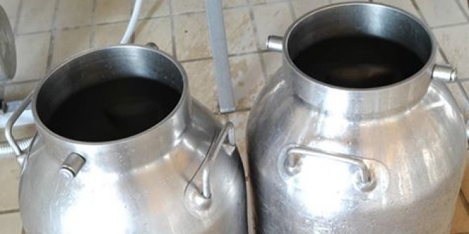 Crolla la produzione di latte a dicembre