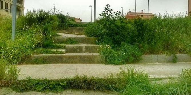 <i>Serra Li Pozzi</i>: giungla urbana nella scalinata
