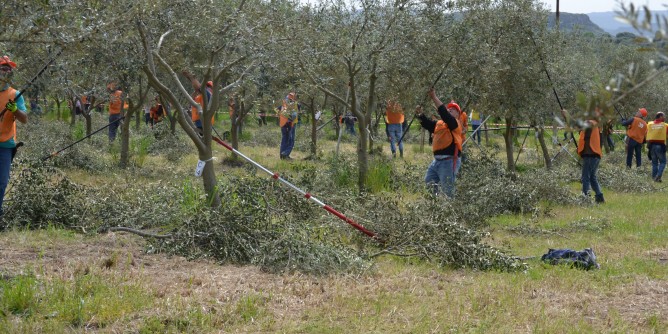 Programma di sviluppo rurale. Accordo Regione-Abi Sardegna