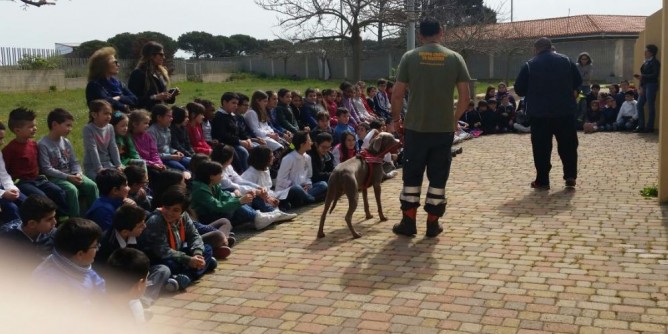 Porto Torres, bambini e cani: verso un approccio corretto