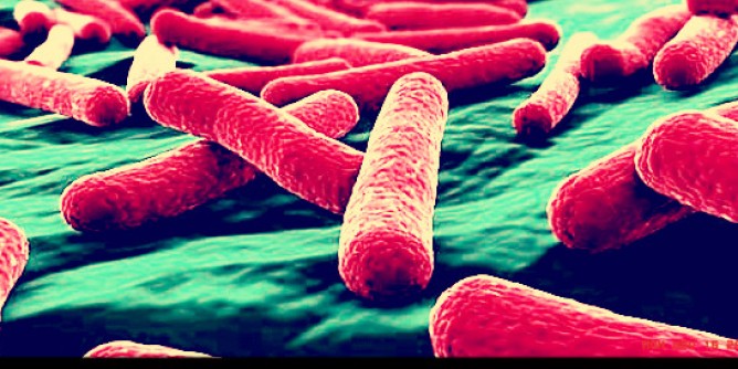 Infezioni batteriche, importante scoperta a Cagliari