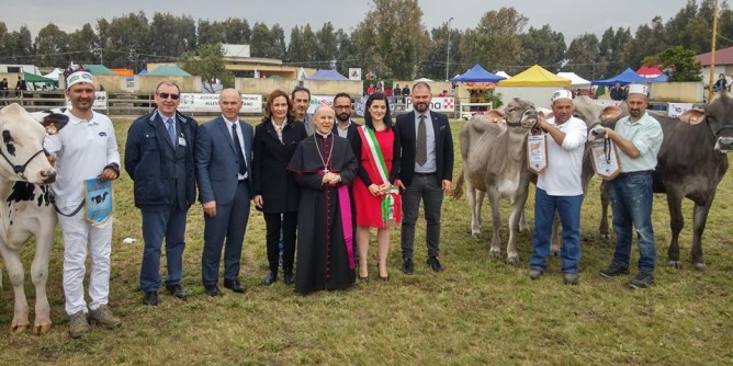 Falchi alla fiera dei bovini di Arborea