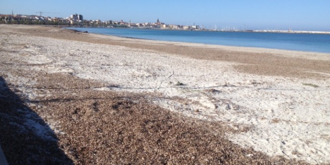 Posidonia: via libera dalla Commissione