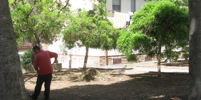 Verde e decoro: nuovi arredi ad Alghero