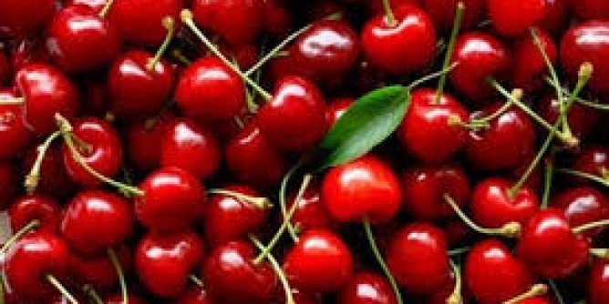 Valorizzazione delle ciliegie a Bonarcado