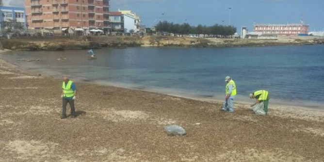 Renaredda e Scogliolungo: operazioni di pulizia delle spiagge
