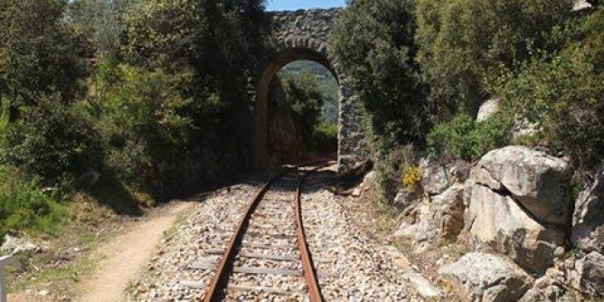Trenino Verde: Deiana alla Camera