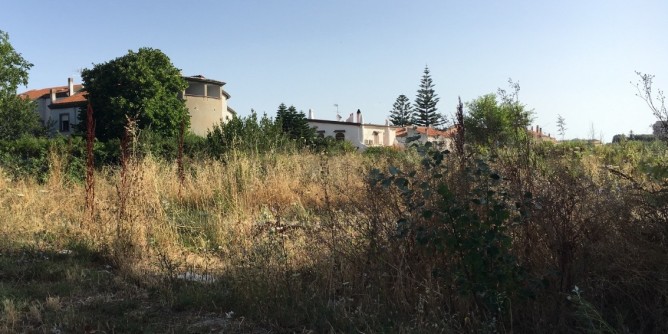 Italia Unica: «Incendi, Sassari non è al sicuro»