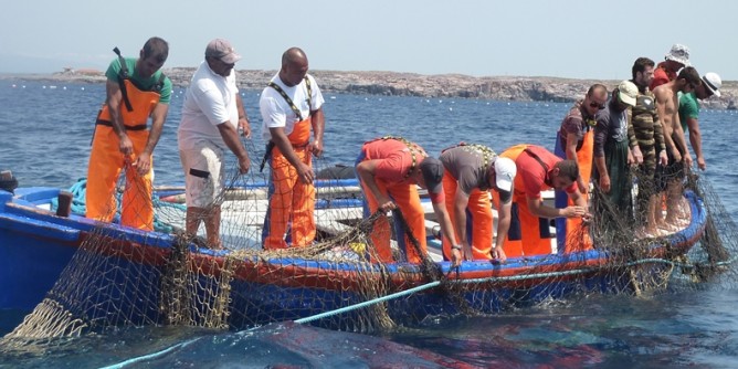 «Subito la legge sul distretto del tonno»