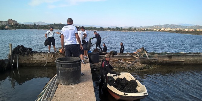 Tre tonnellate di mitili sequestrati ad Olbia