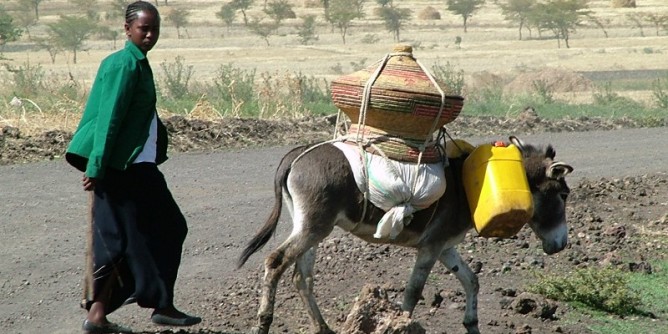 Universit Cagliari: ricercatori in Africa