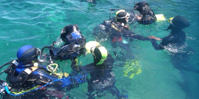 «School si, ma se è Summer si impara meglio»