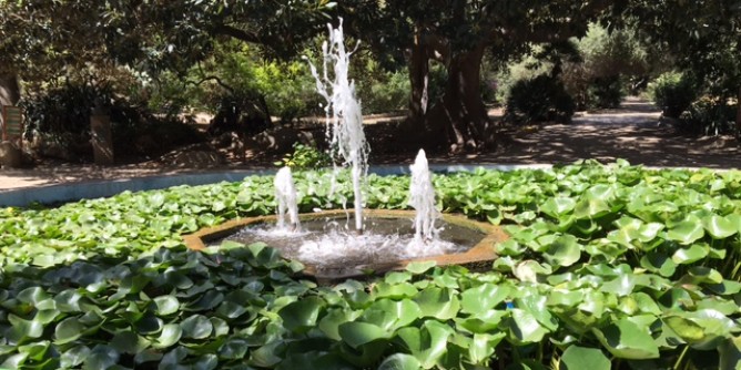 Orto Botanico: accordo tra Università e Comune