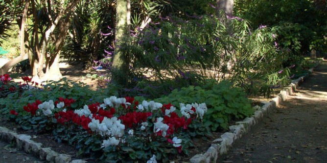 Nuova vita all´Orto Botanico di Cagliari