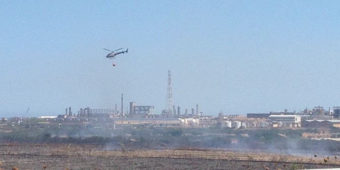 Vasto incendio investe i campi di cardo Matrìca