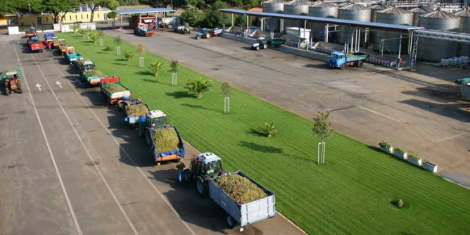 Cantina Santa Maria dona dermopigmentatore