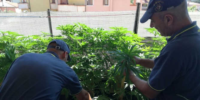 Coltiva marijuana, manette a Olbia