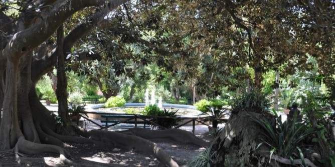 Riapre Orto botanico dopo il maltempo