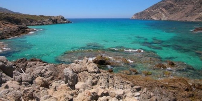 Nasce Asso.o.Asinara: 40 operatori fanno rete