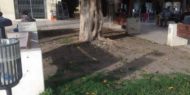 Porto Torres, piazza Umberto I: aree verdi dimenticate