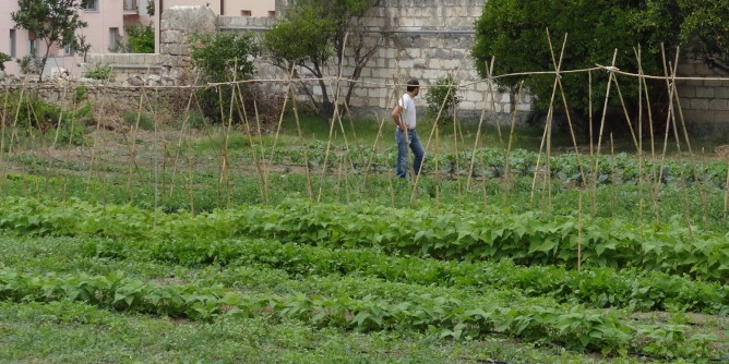 A Sassari si scelgono gli Orti Urbani