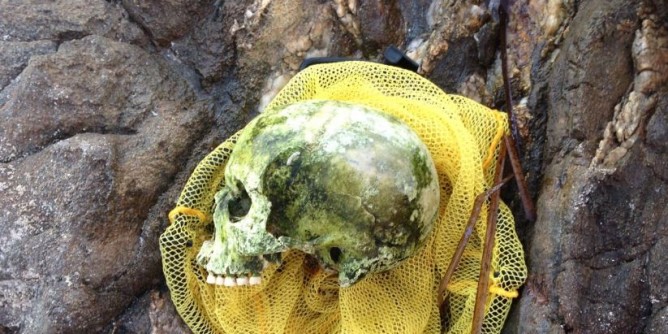 Teschio sul fondale di Stintino: macabra scoperta di un sub