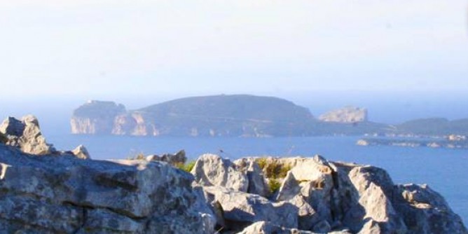 Monte Murone, escursione con Exploralghero