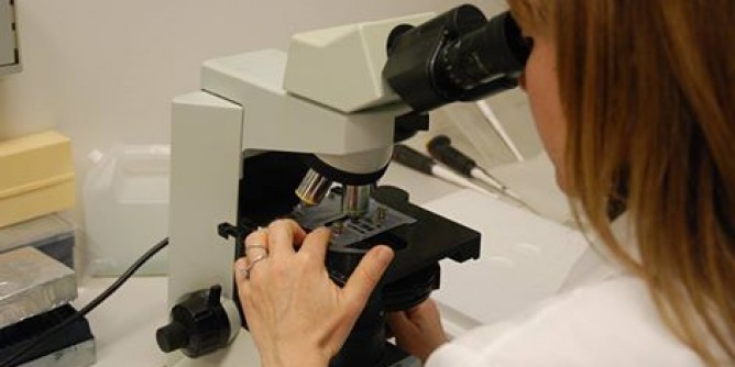 Giunta potenzia il servizio fitosanitario