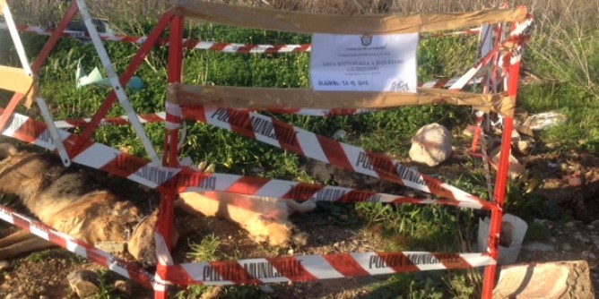 Cani uccisi: autopsia e indagini in Procura